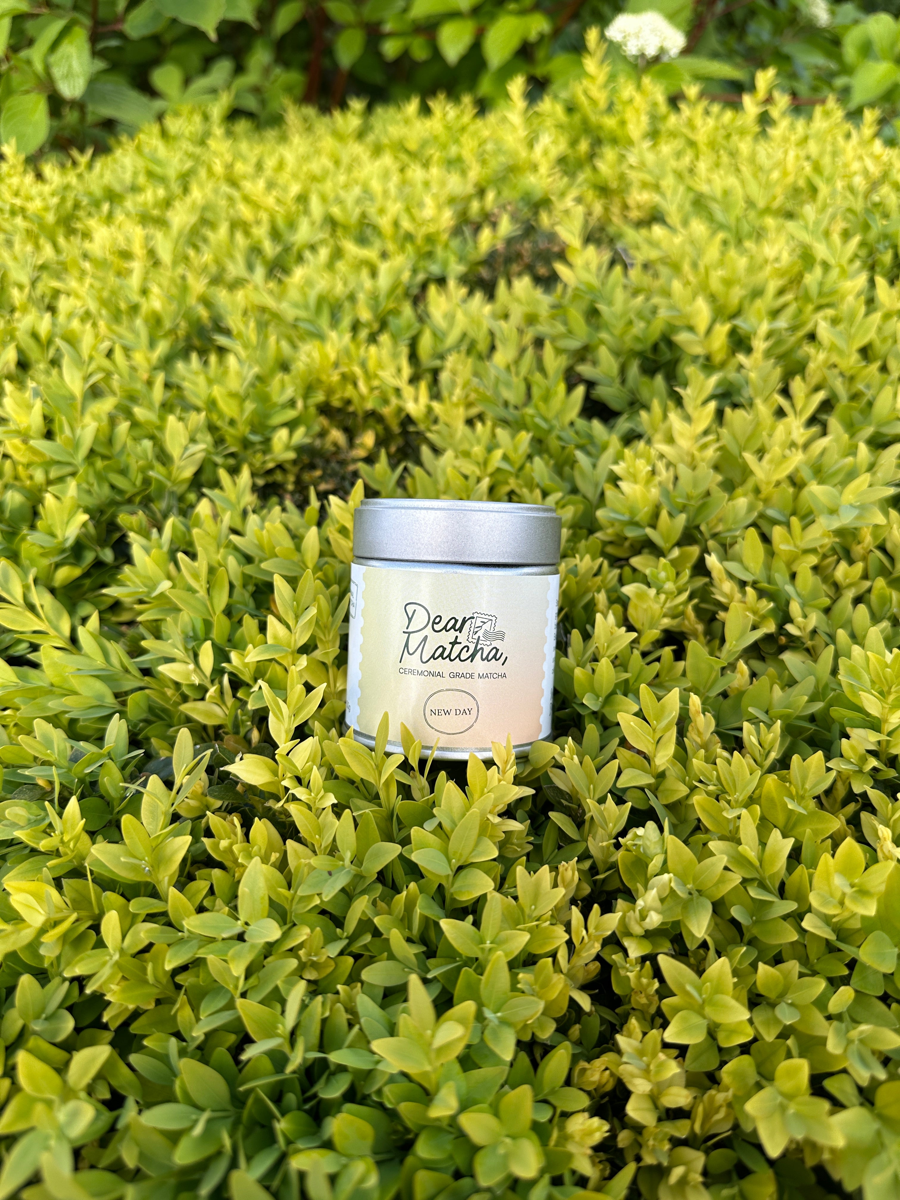 Small cylindrical container labeled 'Dear Nature' hidden among green leaves